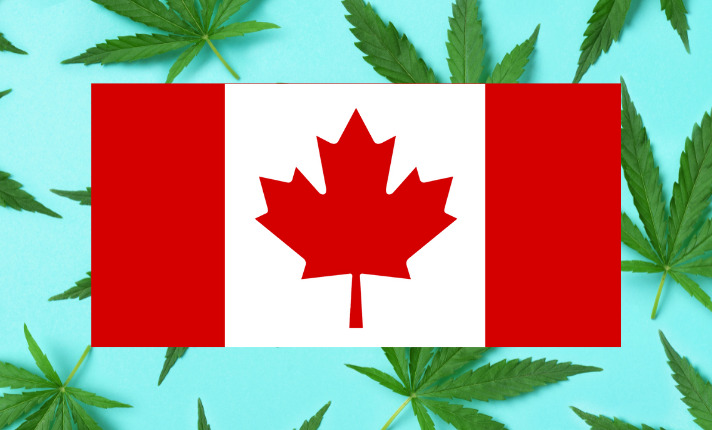 canada flag cannabis leaf