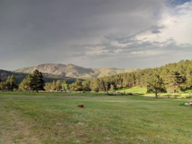 Estes Park Mountain Retreat – 420 friendly vacation rental